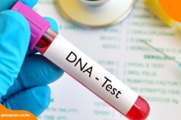How Much Does a DNA Test Cost in Kenya? Prices, Requirements and Where to Get Tested