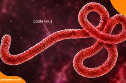 Ebola Monitoring in Kenya: Nine Cases Confirmed as Health Teams Prepare to Release First Contacts