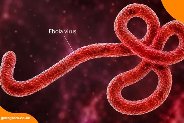Ebola Monitoring in Kenya: Nine Cases Confirmed as Health Teams Prepare to Release First Contacts